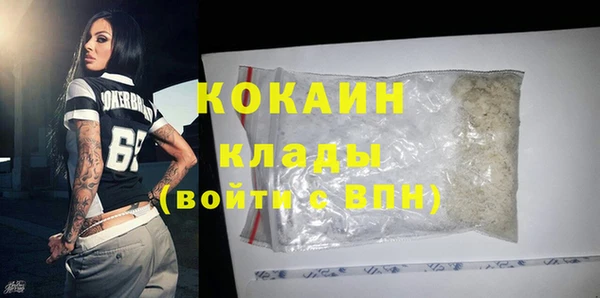 дживик Няндома