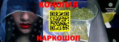 гашик Берёзовский