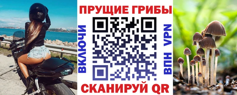 Галлюциногенные грибы Psilocybine cubensis  Усинск 