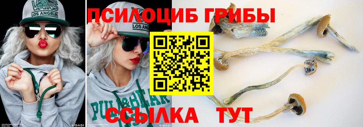 Усинск  Псилоцибиновые грибы Cubensis  Вход с VPN 