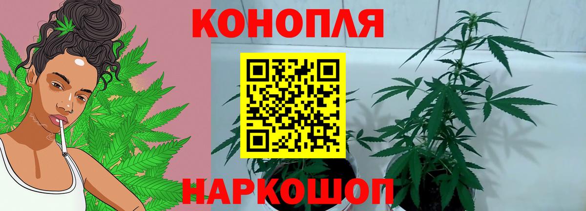 Канабис гибрид  Бошки марихуана индика  Вход с VPN  Усинск  Канабис семена 